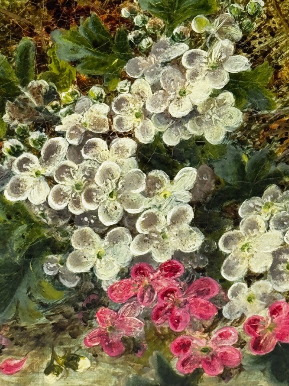 Detail View