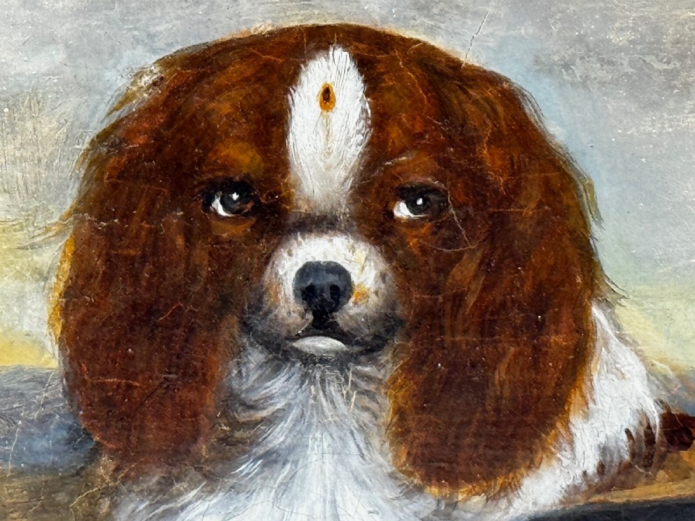 A nineteenth-century framed oil painting depicting a Blenheim spaniel and a tricolour spaniel seated outdoors, enclosed within an ornate gold giltwood frame. View V