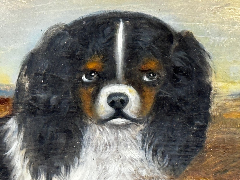 A nineteenth-century framed oil painting depicting a Blenheim spaniel and a tricolour spaniel seated outdoors, enclosed within an ornate gold giltwood frame. View IX