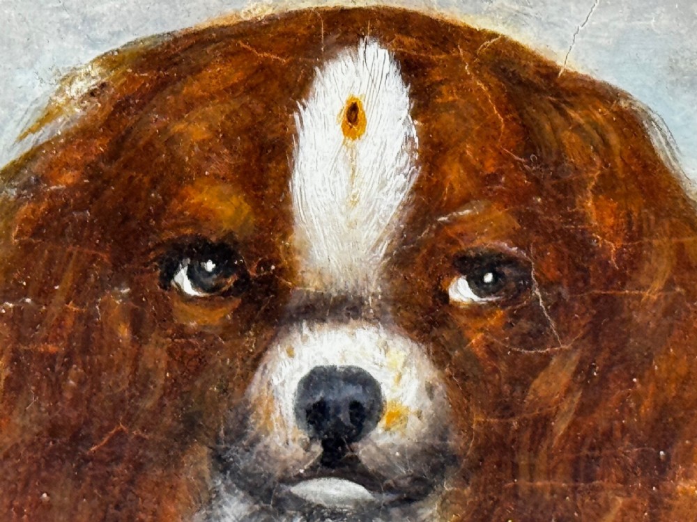 A nineteenth-century framed oil painting depicting a Blenheim spaniel and a tricolour spaniel seated outdoors, enclosed within an ornate gold giltwood frame. View XIII