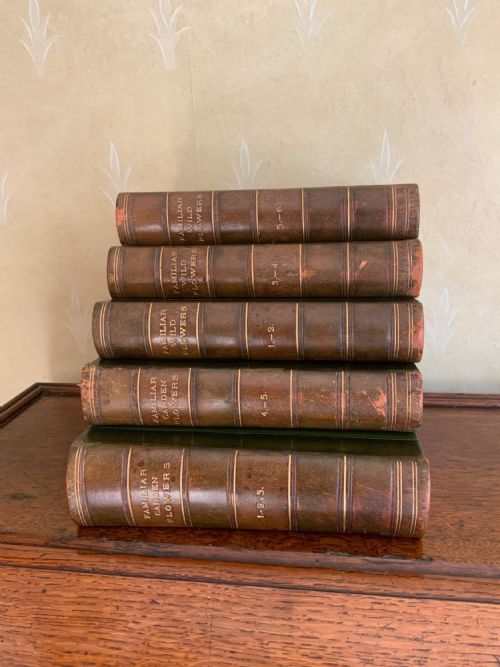 early 20th century complete set of books by f e hulme - CATEGORY: ANTIQUE MISCELLANEOUS - DATED EDWARDIAN