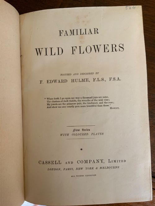 EARLY 20TH CENTURY COMPLETE SET OF BOOKS BY F E HULME - ADDITIONAL PHOTO 7