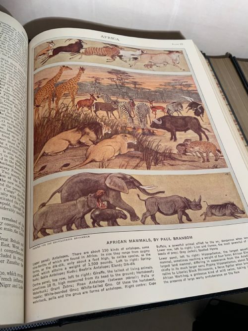 24 VOLUME ENCYCLOPAEDIA BRITANNICA - ADDITIONAL PHOTO 6