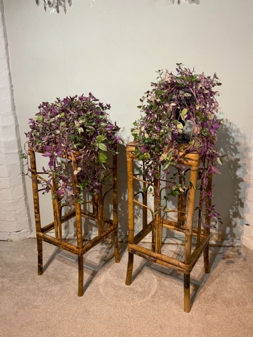 PAIR OF 19TH CENTURY BAMBOO STANDS - ADDITIONAL PHOTO 5