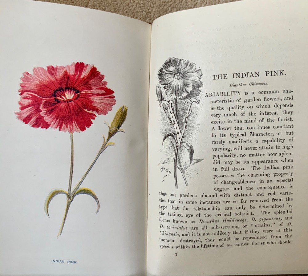 Early 20th century complete set of books by F E Hulme View V