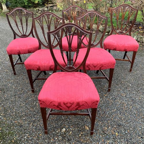 SIX 6 SHIELD BACK CHAIRS ROYAL HISTORY - ADDITIONAL PHOTO 3