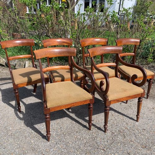 set of six mahogany dining chairs by james winter of london - CATEGORY: ANTIQUE CHAIRS - DATED 19TH CENTURY