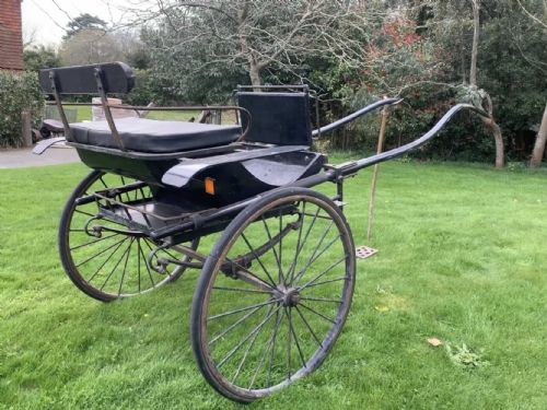 VINTAGE PONY TRAP DRESSAGE DRIVING CARRIAGE - ADDITIONAL PHOTO 1