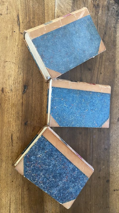 LONG RUN OF LEATHER BOUND BOOKS - ADDITIONAL PHOTO 1