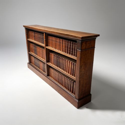 ENGLISH REGENCY PERIOD MAHOGANY OPEN BOOKSHELVES - ADDITIONAL PHOTO 7