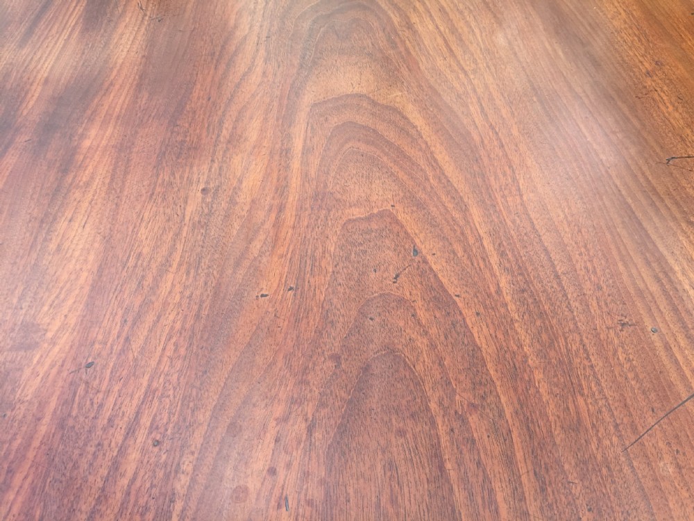 Fine Georgian mahogany twin pedestal Dining Table View VI