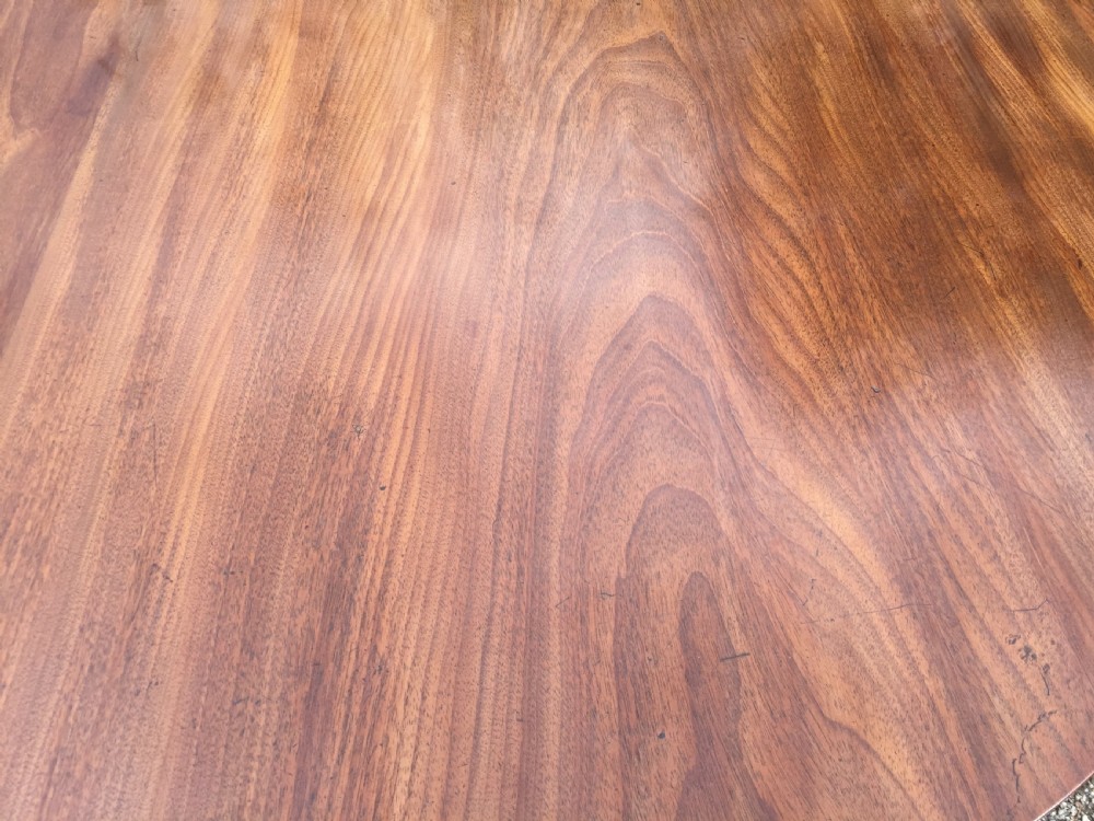 Fine Georgian mahogany twin pedestal Dining Table View VII