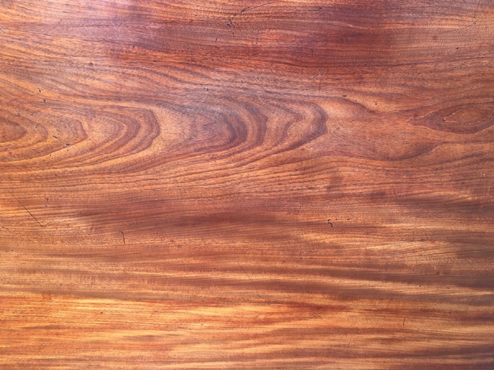 Fine Georgian mahogany twin pedestal Dining Table View XI