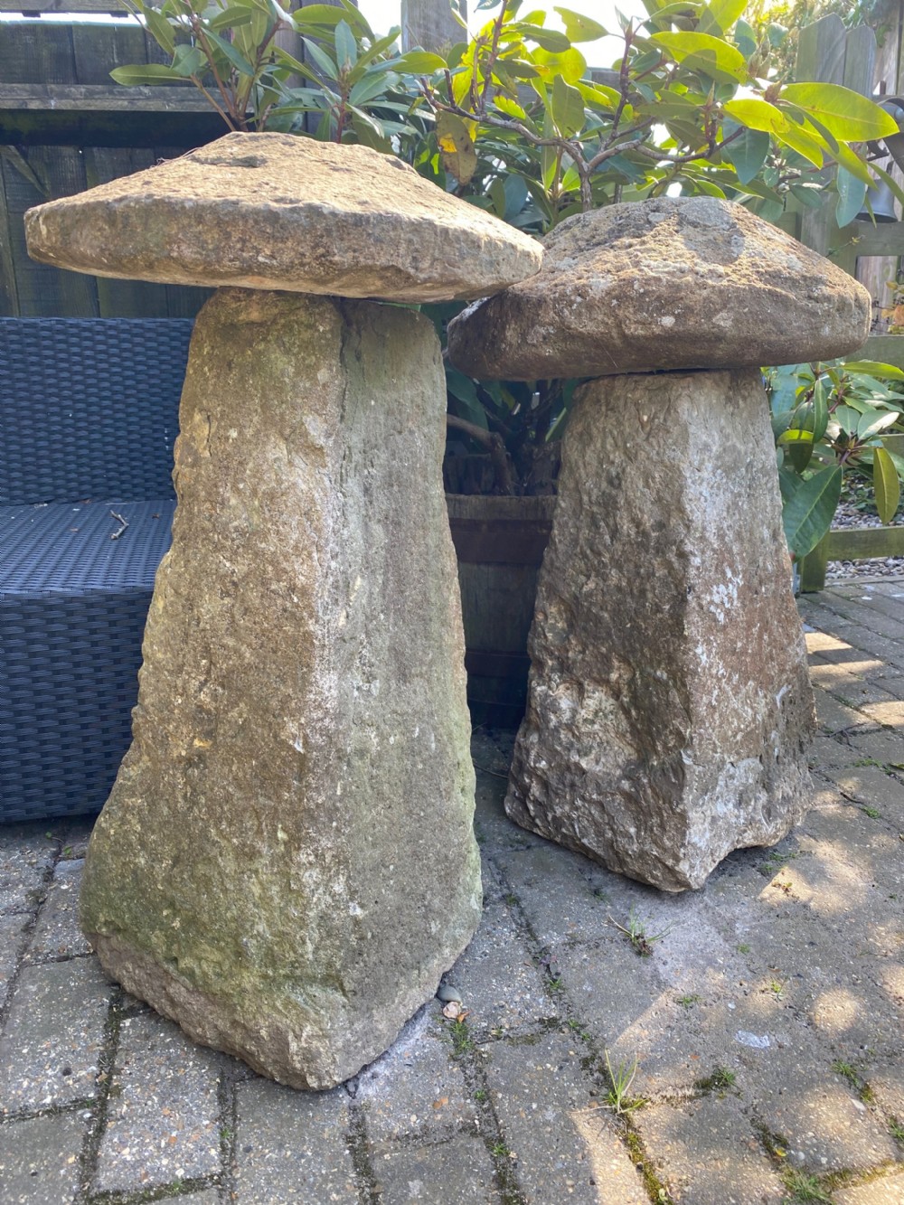 Two Staddle Stones