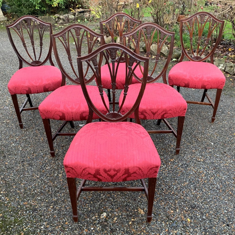 Six 6 Shield Back Chairs ROYAL HISTORY View III