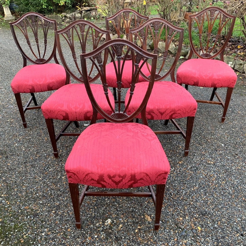 Six 6 Shield Back Chairs ROYAL HISTORY View IV