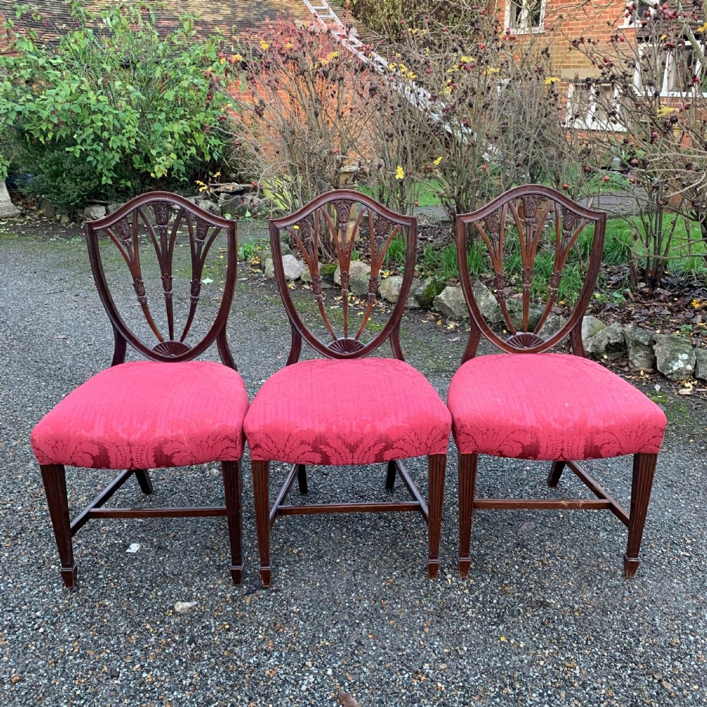 Six 6 Shield Back Chairs ROYAL HISTORY View V