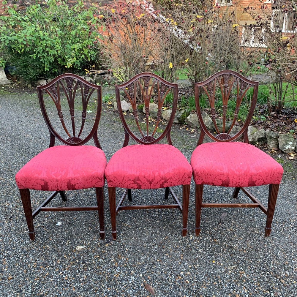 Six 6 Shield Back Chairs ROYAL HISTORY View VI