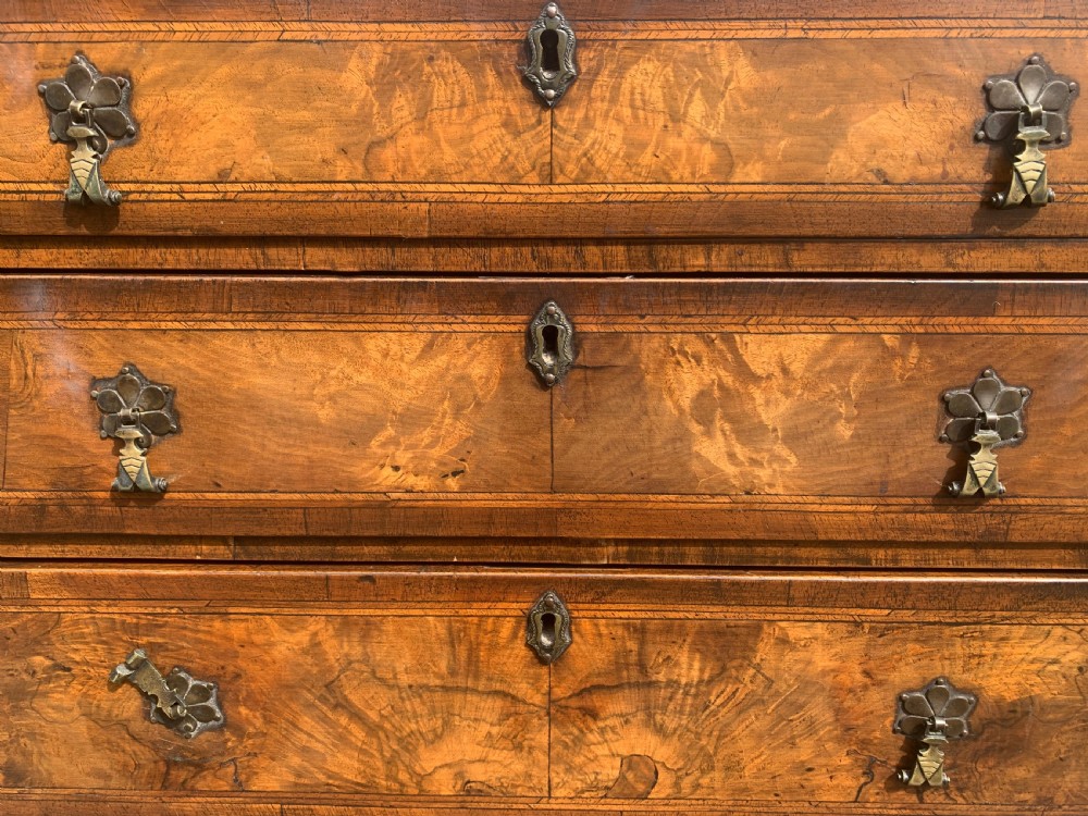 Small walnut chest of drawers View VIII