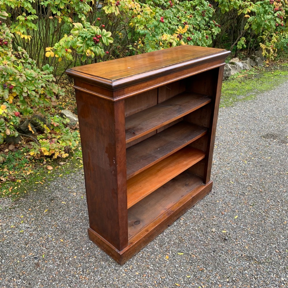 Early 19th century mahogany open bookshelves View III