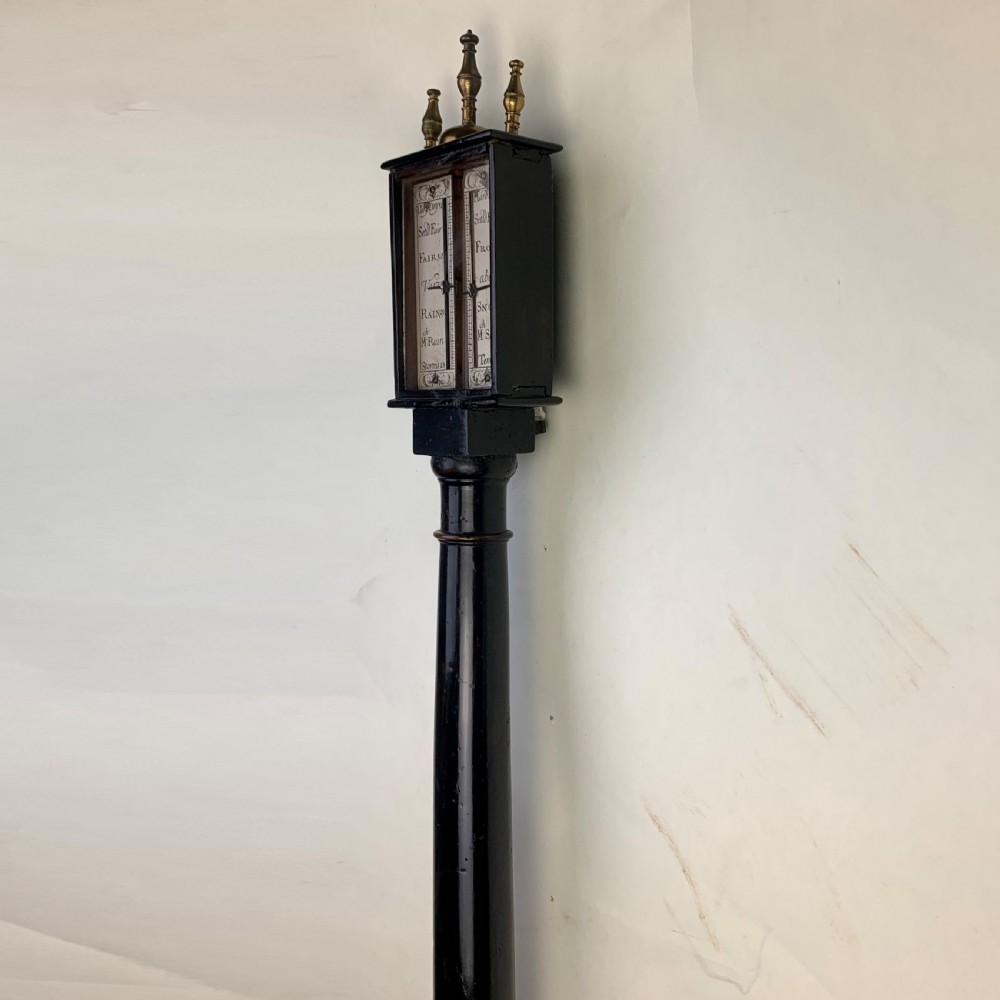 Ebonised fruitwood and brass-mounted siphon tube barometer View VII