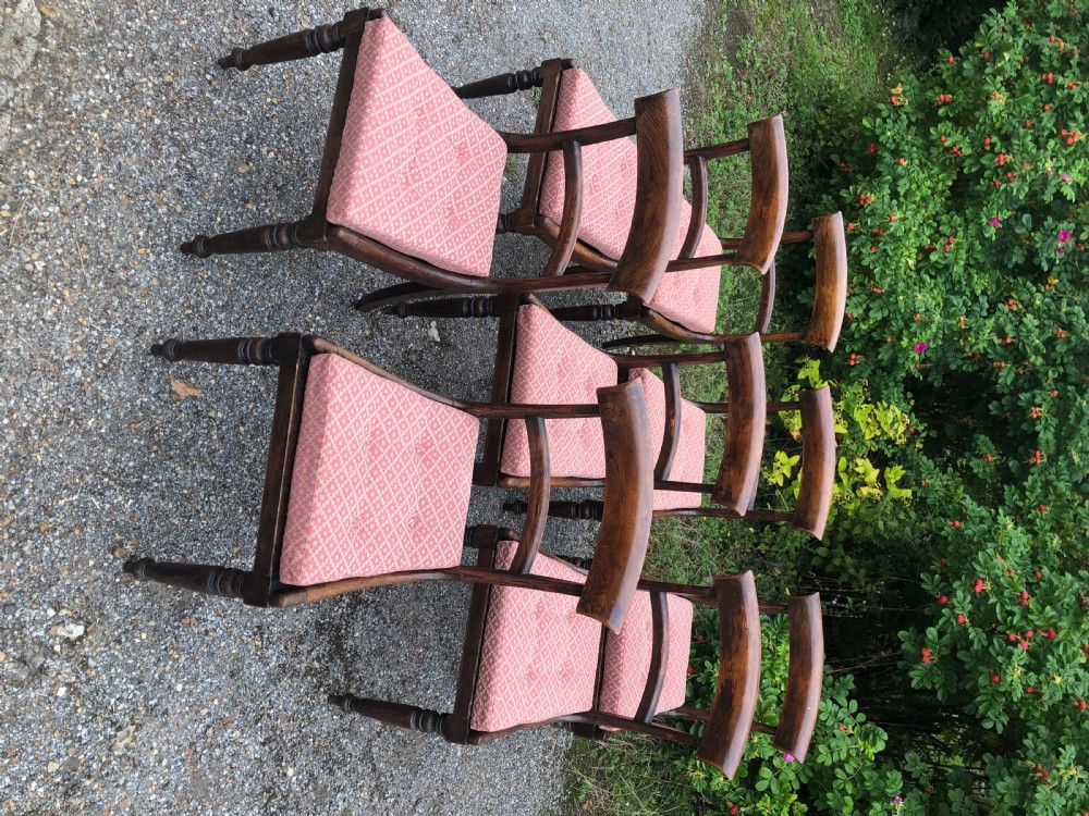 Set of eight Regency Faux Rosewood Dining Chairs View VI