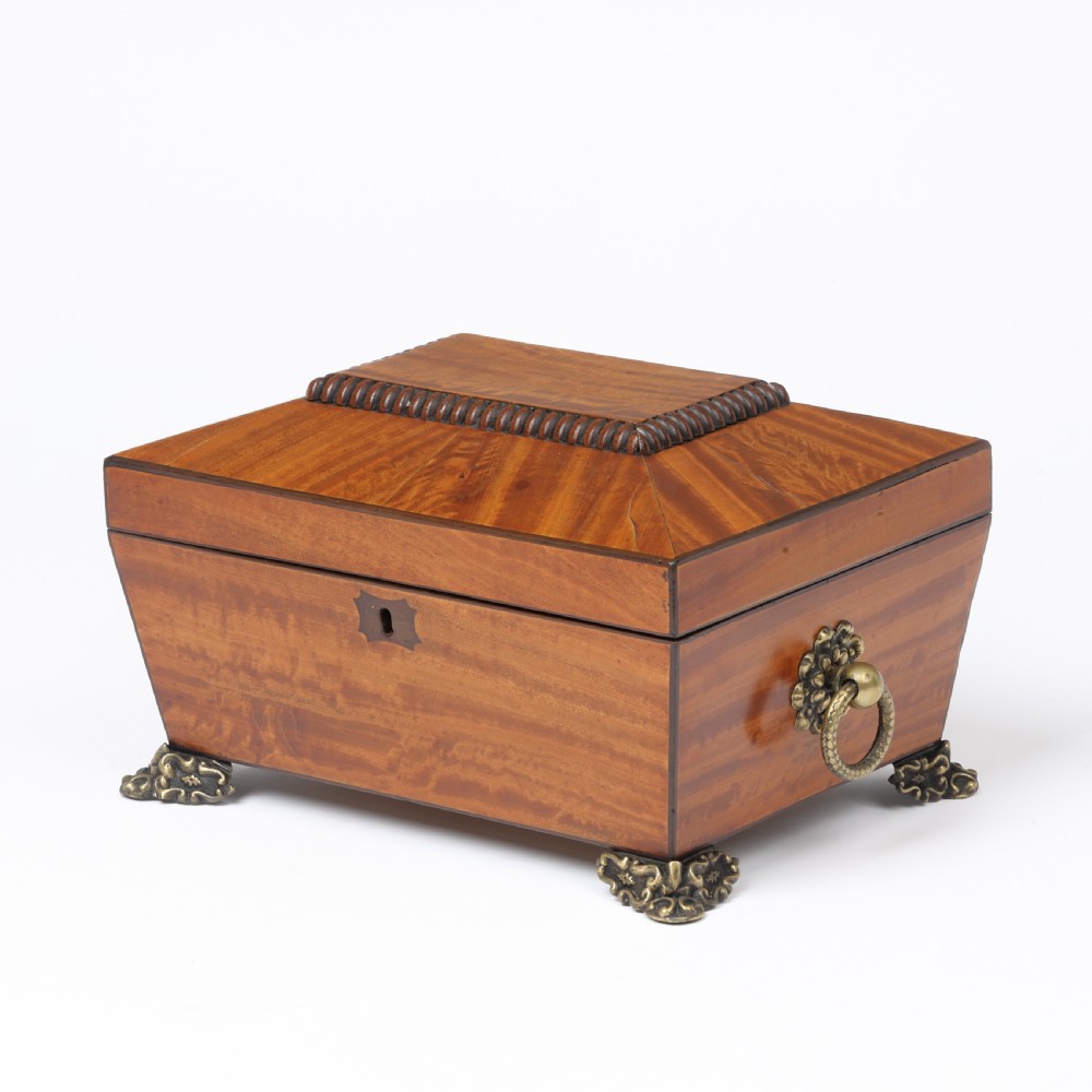 A Regency style satinwood casket box featuring a tapered sarcophagus shape, carved lid trim, brass claw feet, and side ring handles.