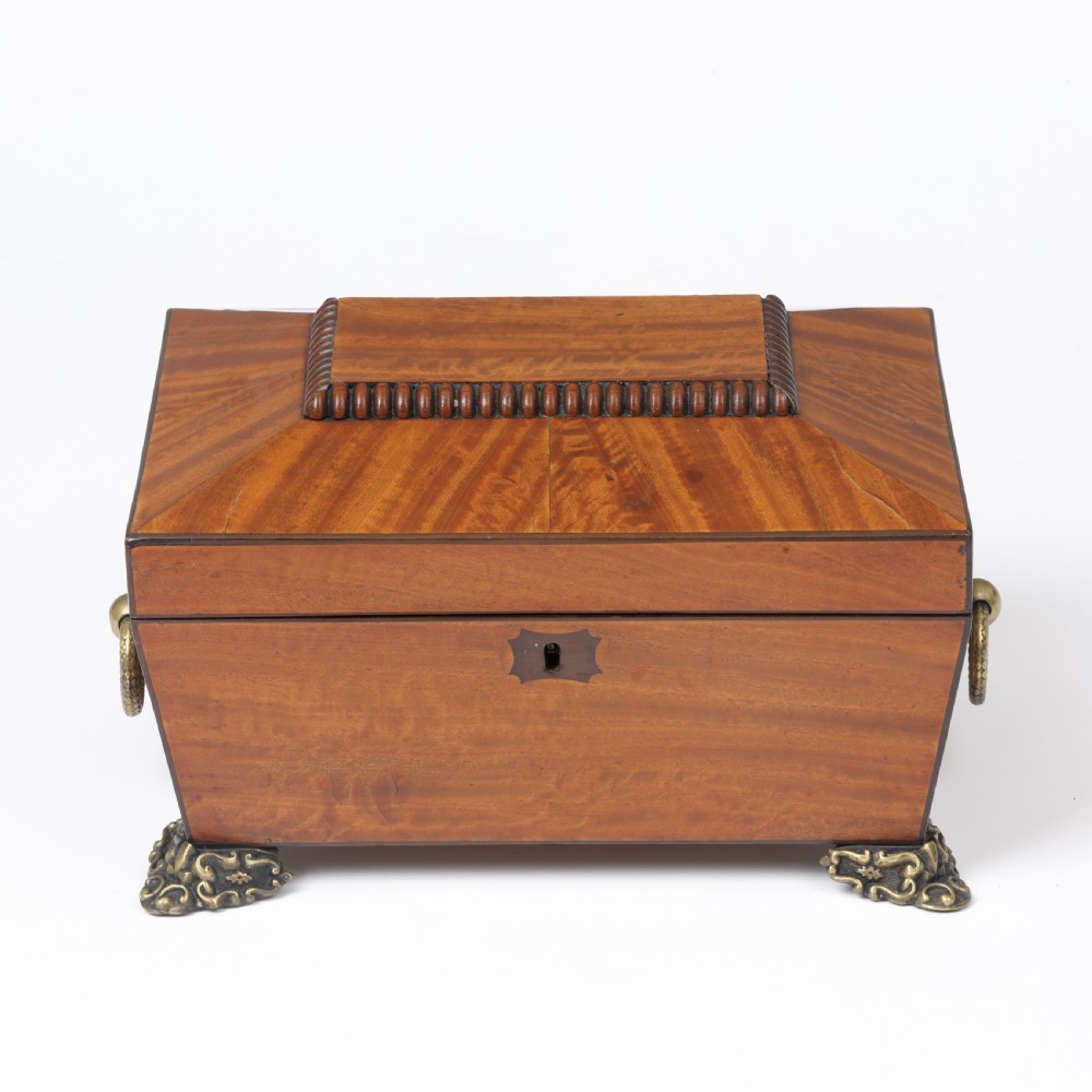 A Regency style satinwood casket box featuring a tapered sarcophagus shape, carved lid trim, brass claw feet, and side ring handles. View III