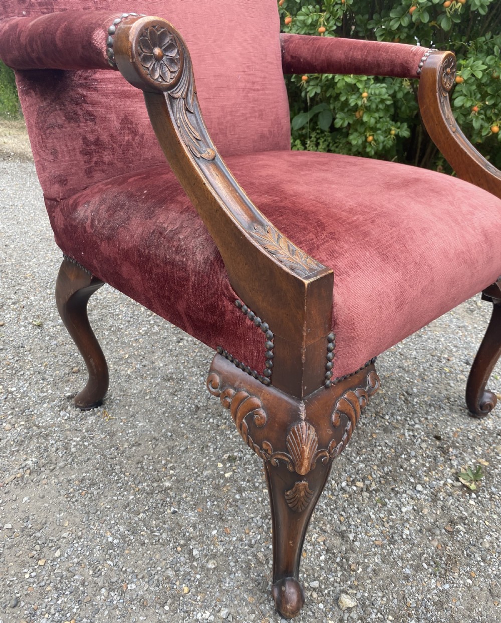 A 19th-century George III style Gainsborough armchair featuring rose pink velvet upholstery, open carved mahogany arms, and carved cabriole legs. View XV