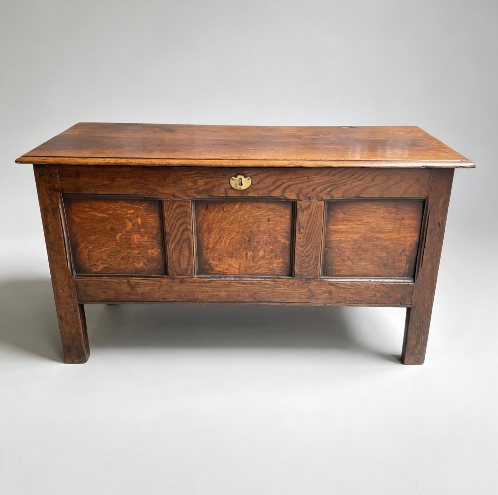 A seventeenth-century solid oak coffer featuring a hinged lid, three front panels, a central brass keyhole escutcheon, and square stile legs.