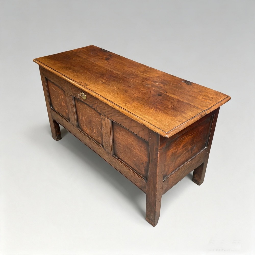A seventeenth-century solid oak coffer featuring a hinged lid, three front panels, a central brass keyhole escutcheon, and square stile legs. View V