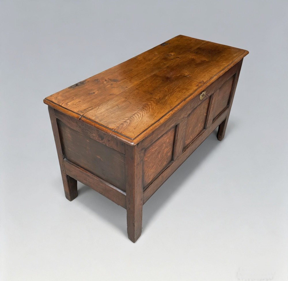 A seventeenth-century solid oak coffer featuring a hinged lid, three front panels, a central brass keyhole escutcheon, and square stile legs. View VI
