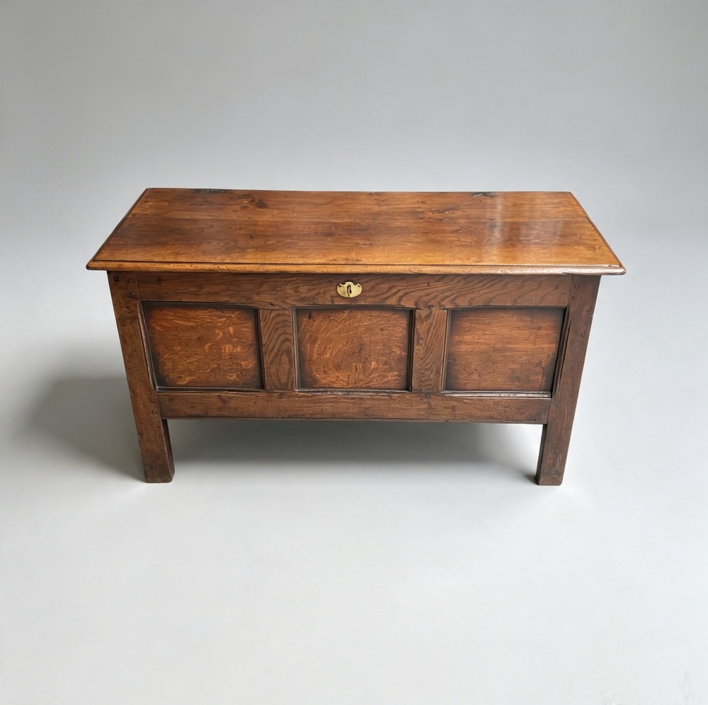 A seventeenth-century solid oak coffer featuring a hinged lid, three front panels, a central brass keyhole escutcheon, and square stile legs. View VII