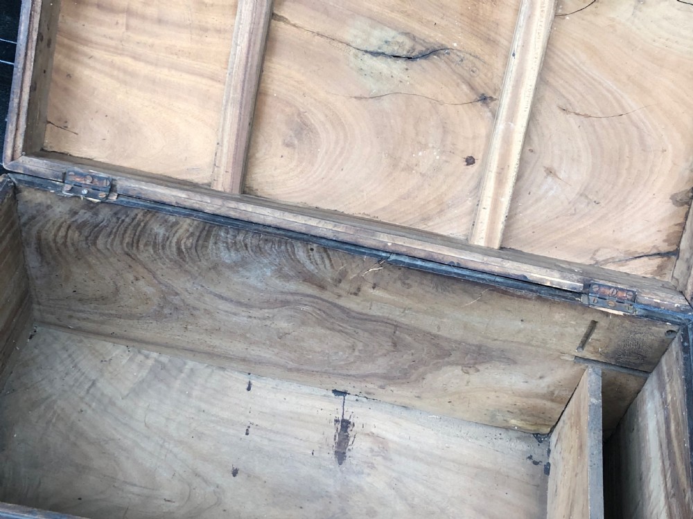 19th century camphorwood trunk View IV