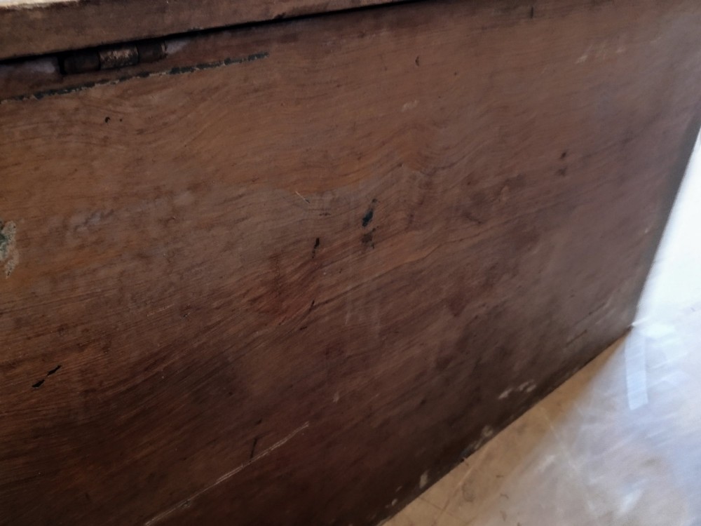 An early 19th-century painted pine mule chest featuring a top hinged coffer lid, a single lower drawer with two turned wooden knobs, and keyhole escutcheons. View XIV