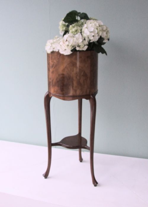 Late Victorian Burr Walnut Planter