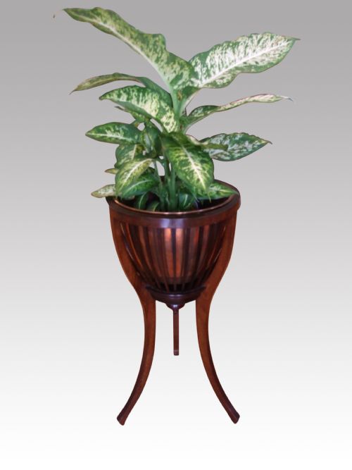 Edwardian Mahogany Planter