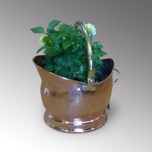 Edwardian Copper and Brass Handled Coal Bucket