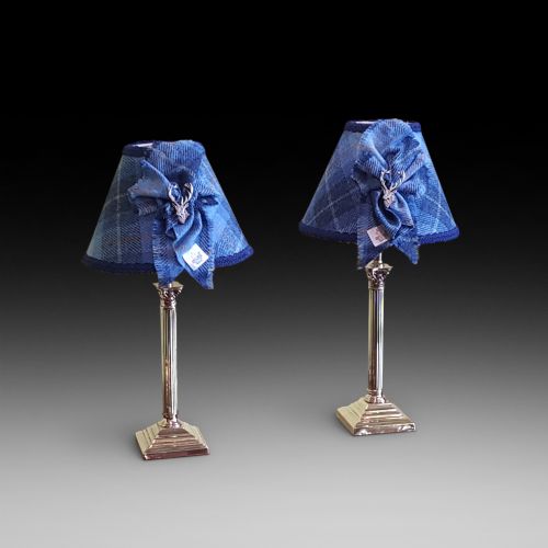 Pair of Brass Corinthian Column Table Lamps