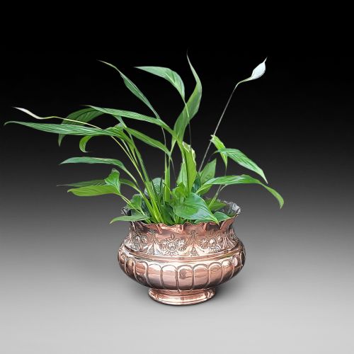 Victorian Copper Jardiniere Planter