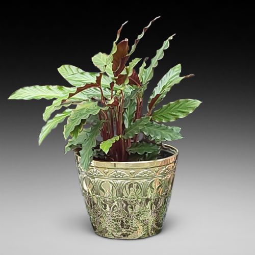 ART NOUVEAU BRASS PLANTER BY J SANKEY AND SONS - ADDITIONAL PHOTO 1