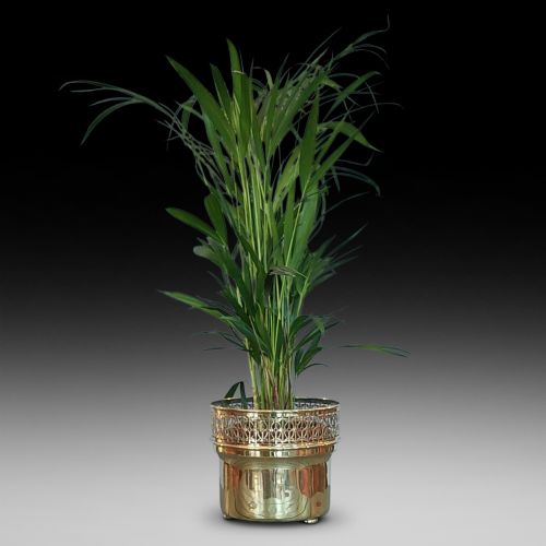 19thc Pierced Brass Cylindrical Planter