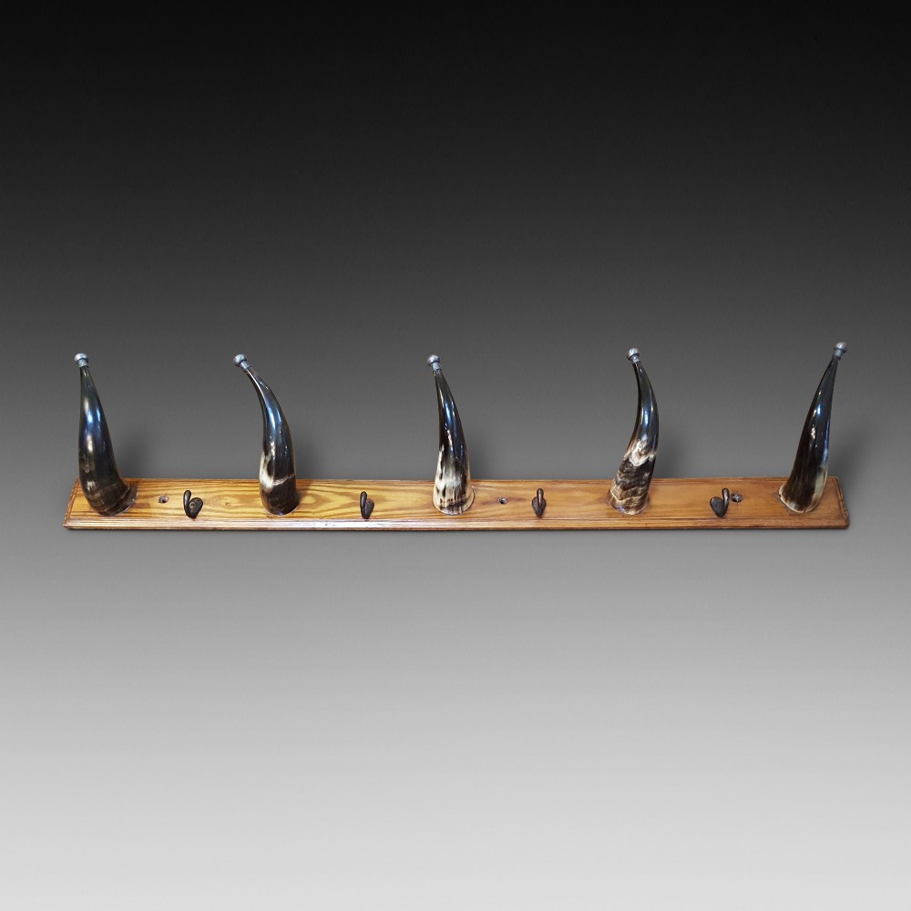 Novelty horn hat and coat rack