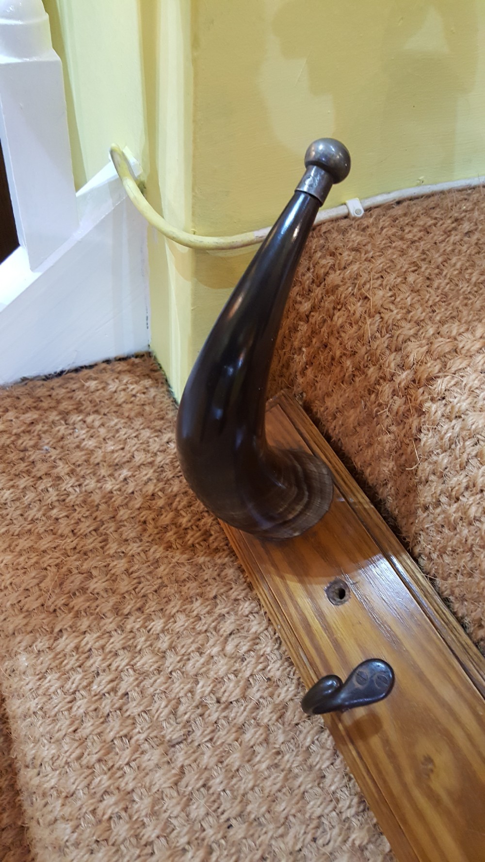 Novelty horn hat and coat rack View IV