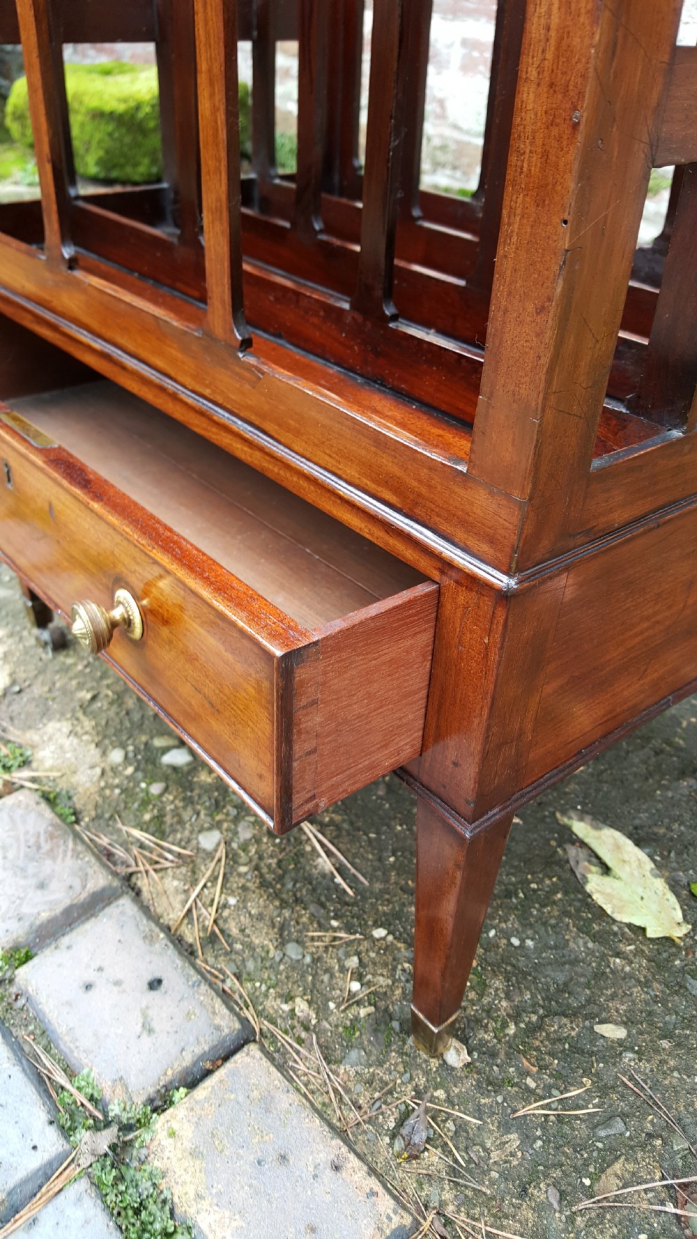 George III Mahogany Canterbury View III