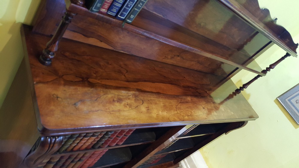 Regency Rosewood Library Bookcase View V