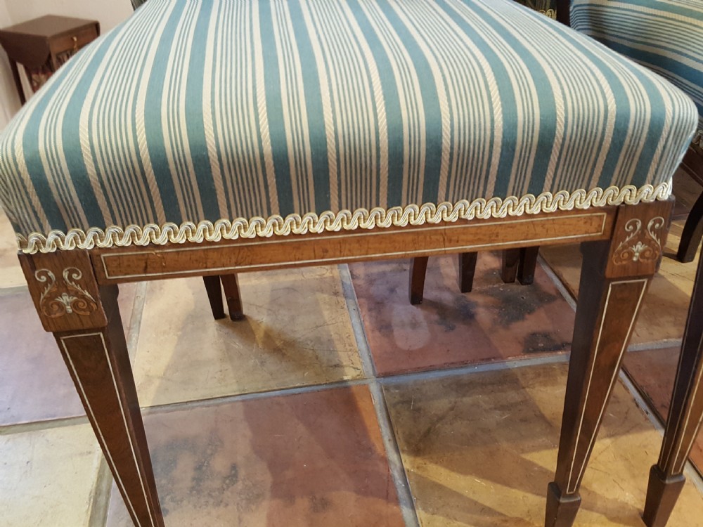 Set of 4 Edwardian Rosewood Salon Chairs View VII