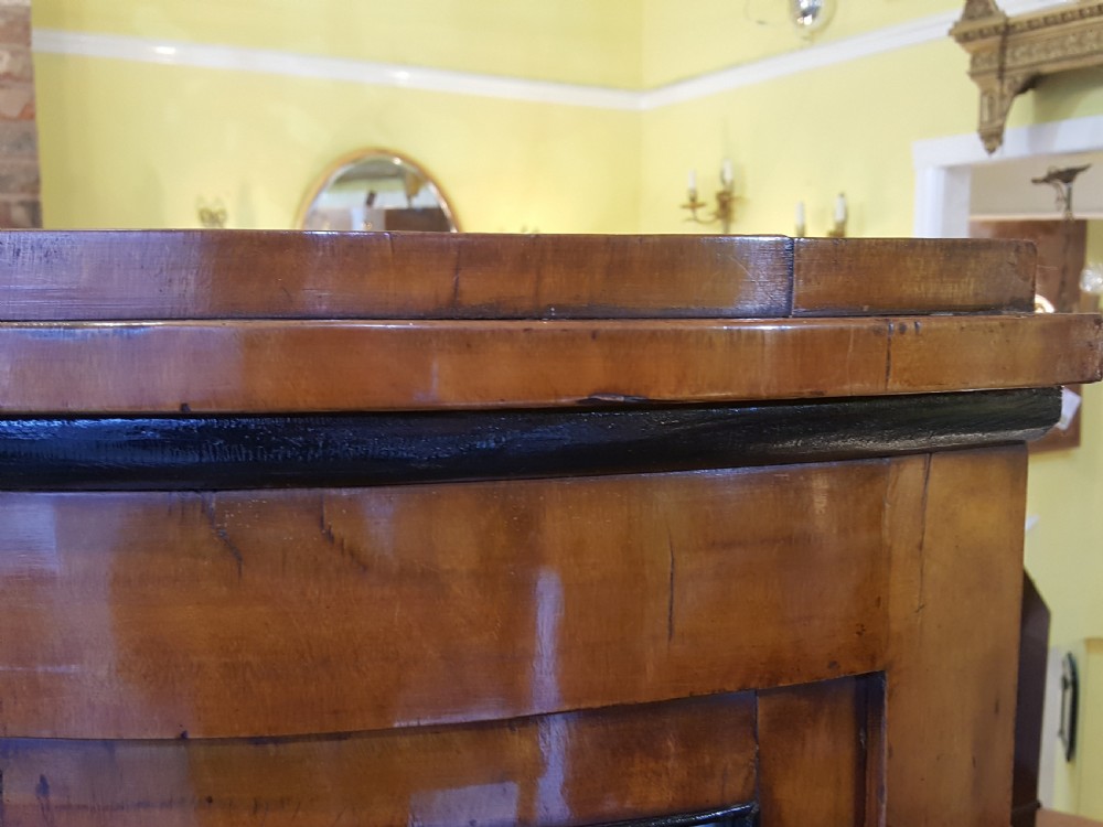 Mid 19thC Biedermeier Satin Birch Corner Display Cabinet View II