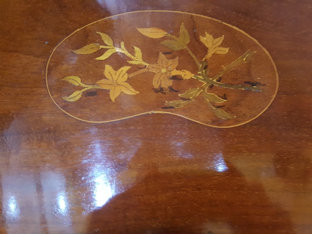 Edwardian Mahogany Kidney Shaped View III