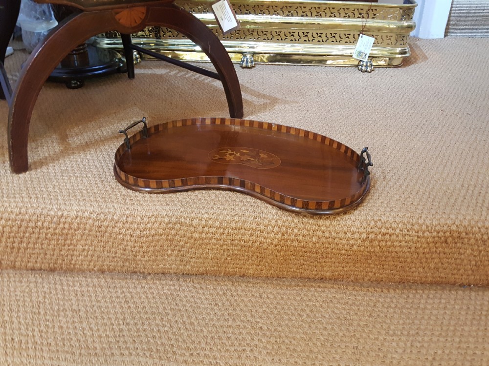 Edwardian Mahogany Kidney Shaped View VII